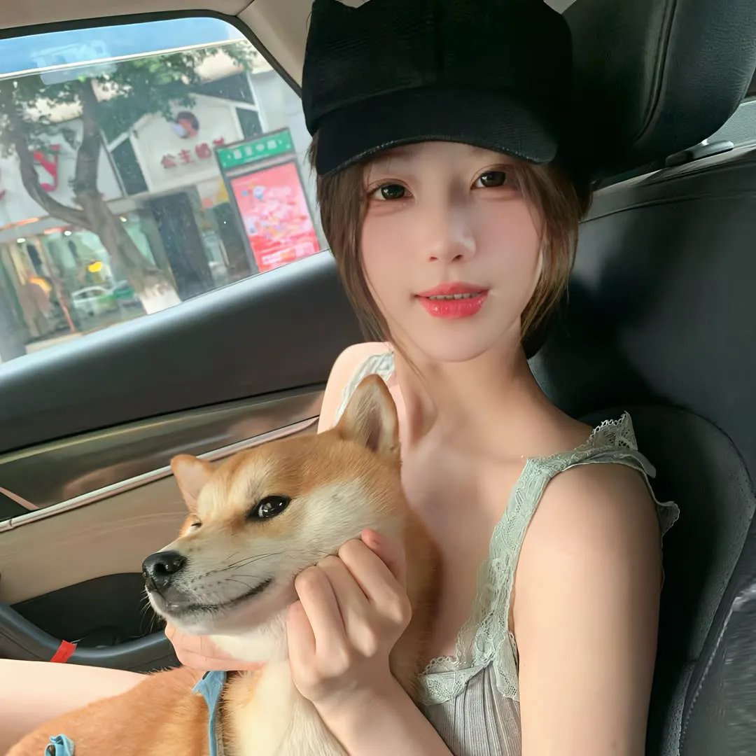 吉娃娃